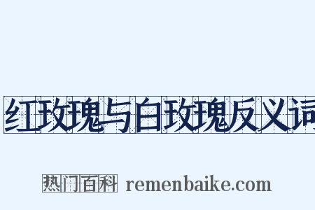 红玫瑰与白玫瑰反义词是什么意思的图片